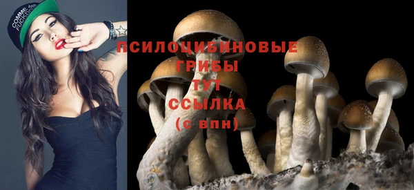 MDMA Premium VHQ Богородск