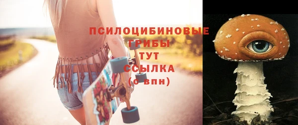 марки nbome Богданович