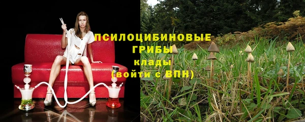 2c-b Магас