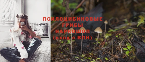 марки nbome Богданович