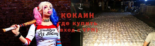 кокс Богородицк
