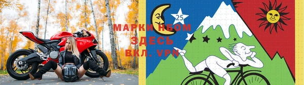 кокс Богородицк